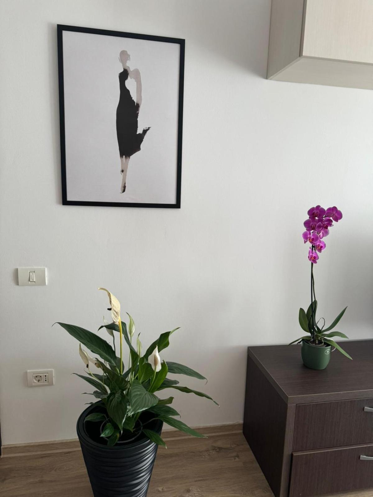 Apart Mihai Viteazu Residence บราชอฟ ภายนอก รูปภาพ